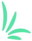Decorative Leaf Pattern