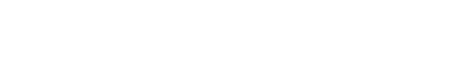 Work Process Timeline