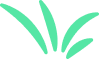 Decorative Leaf Pattern